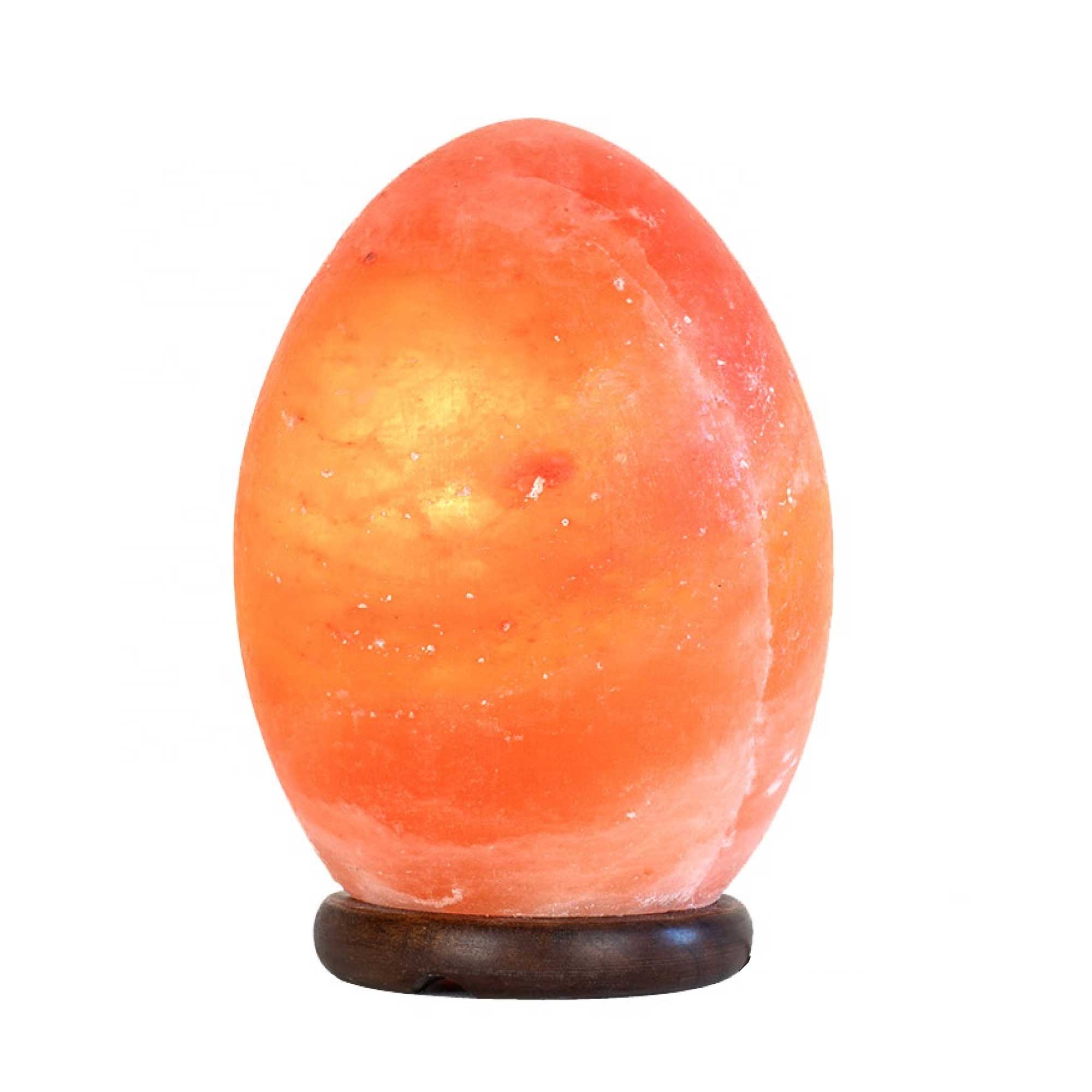 Himalayan Salt Lamp Carved Shape Natural Pink Crystal Rock Light Decor-Himalayan products-The Himalayan Salt Collective